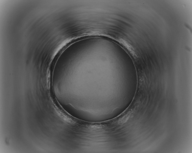 X0000091591126200708271237