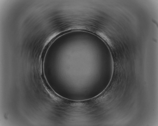 X0000091591127200708271237
