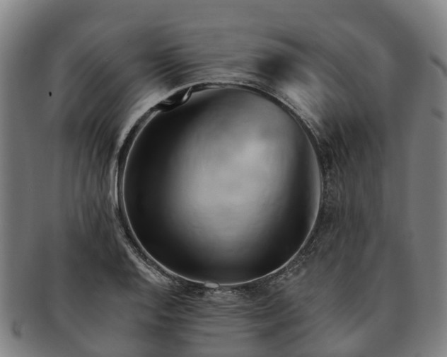X0000091591128200708271237