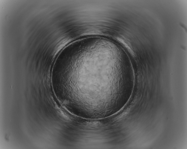 X0000091591129200708271237
