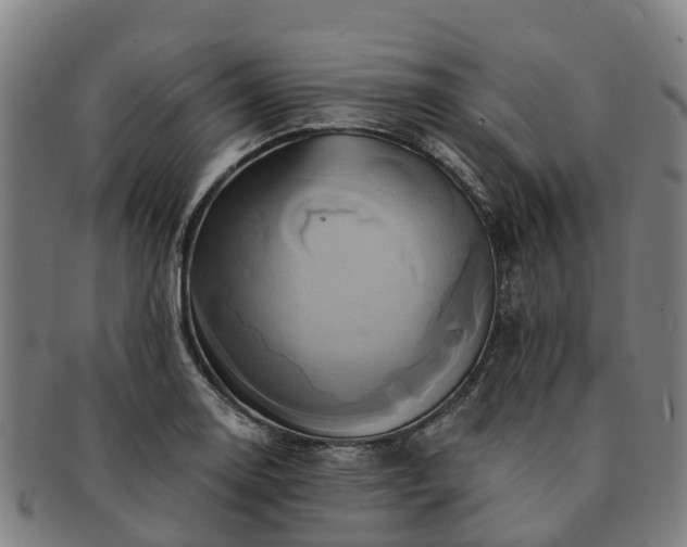 X0000091591130200708271237