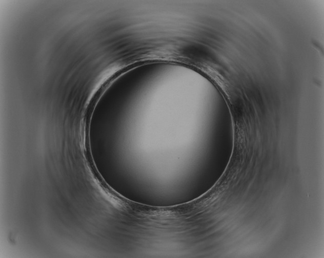 X0000091591131200708271237