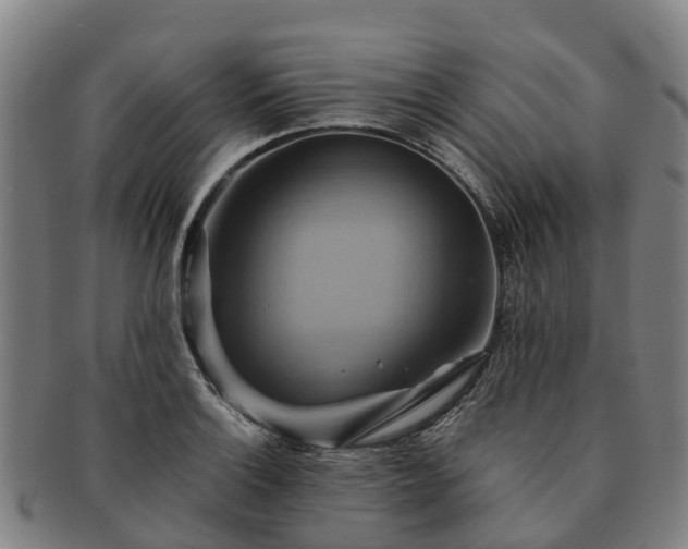 X0000091591132200708271237