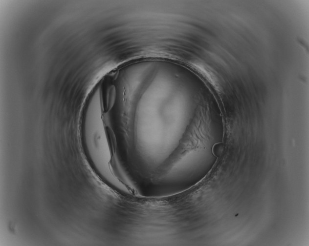 X0000091591133200708271237