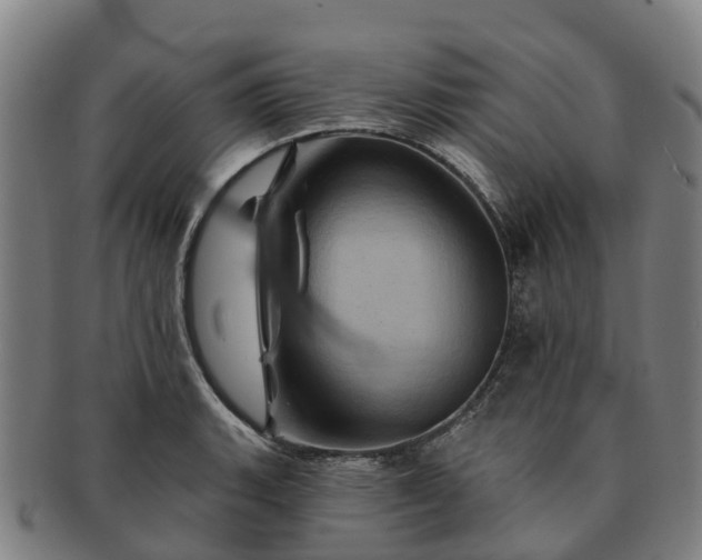 X0000091591135200708271237