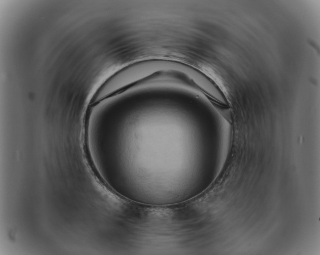 X0000091591136200708271237