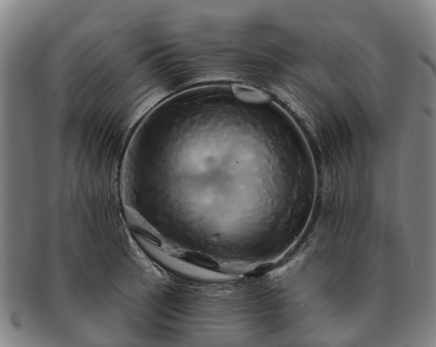 X0000091591137200708271237