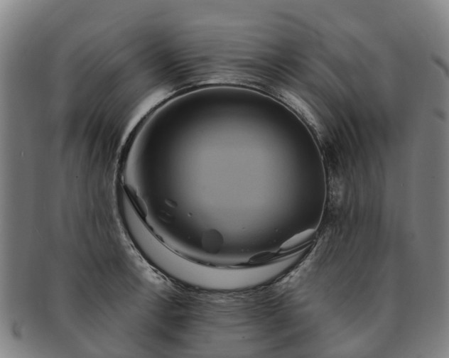 X0000091591138200708271237