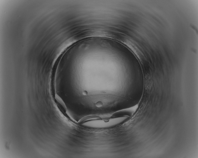 X0000091591139200708271237