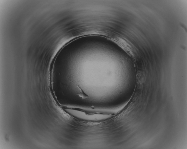 X0000091591140200708271237