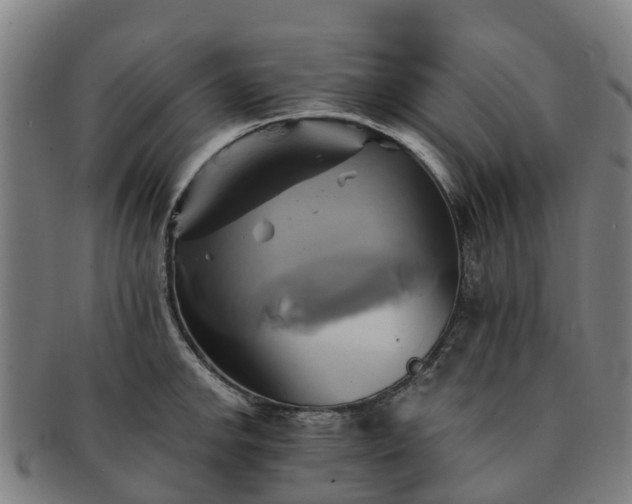 X0000091591142200708271237