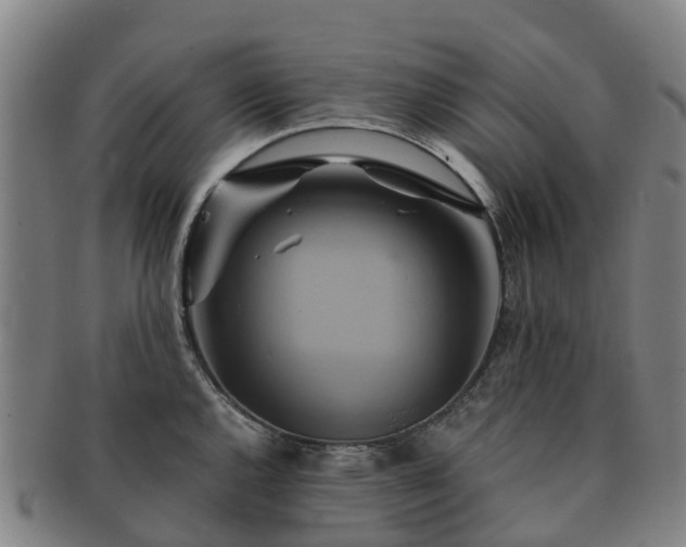 X0000091591144200708271237