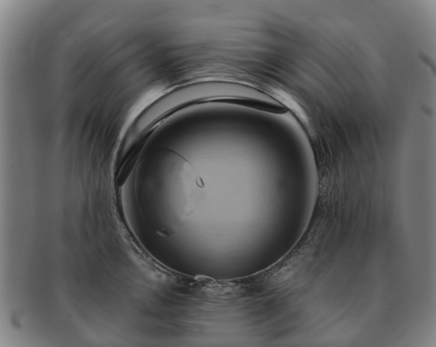 X0000091591146200708271237