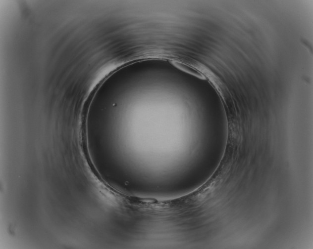 X0000091591147200708271237