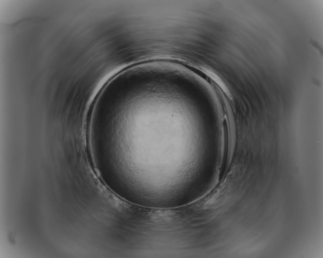 X0000091591148200708271237