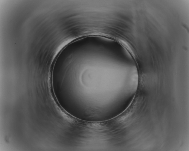 X0000091591149200708271237