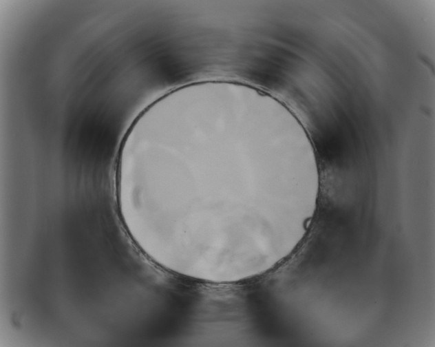 X0000091591150200708271237