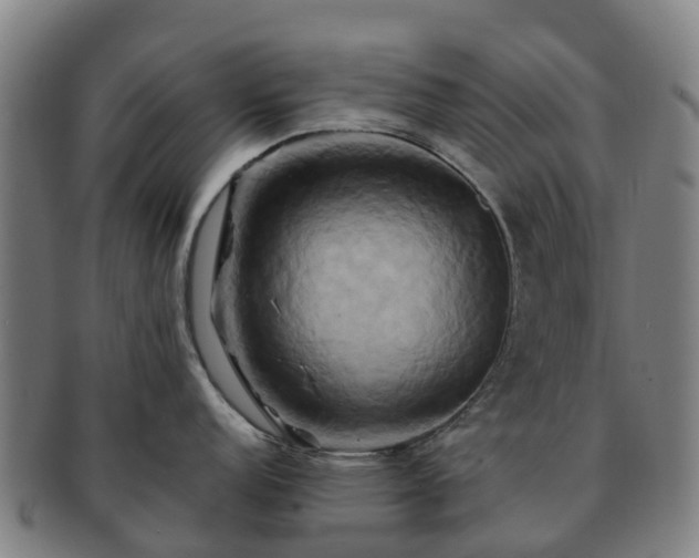 X0000091591152200708271238