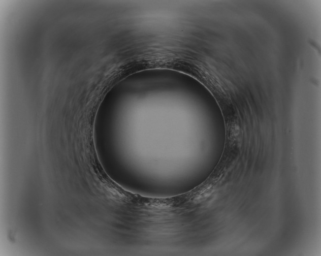 X0000091591153200708271237