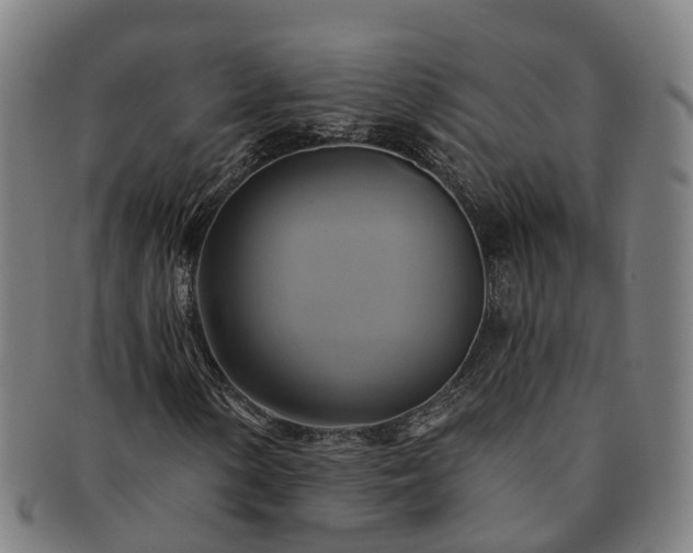 X0000091591154200708271237