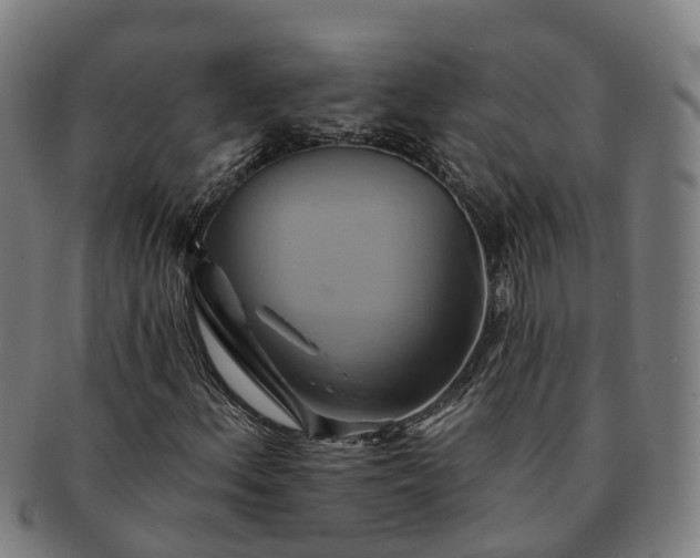 X0000091591156200708271237