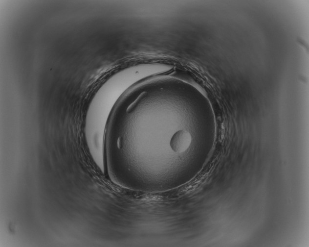 X0000091591157200708271237