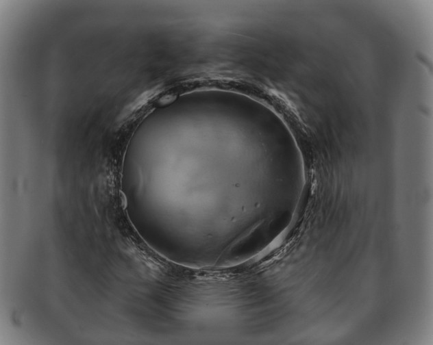 X0000091591159200708271237