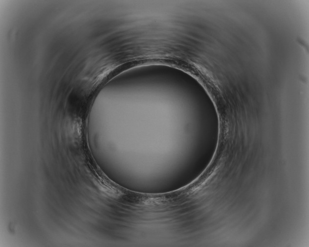 X0000091591161200708271237