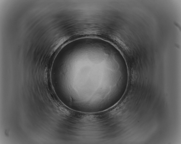 X0000091591162200708271237