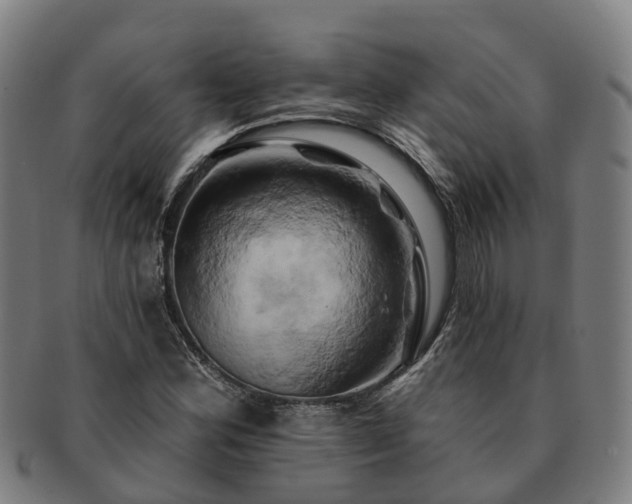 X0000091591164200708271237
