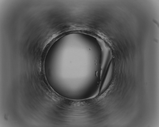 X0000091591165200708271237