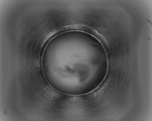 X0000091591166200708271237