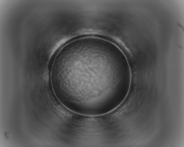 X0000091591167200708271236