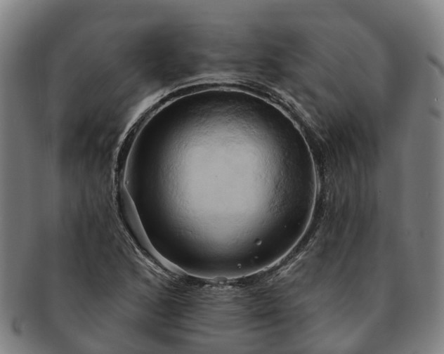X0000091591168200708271236