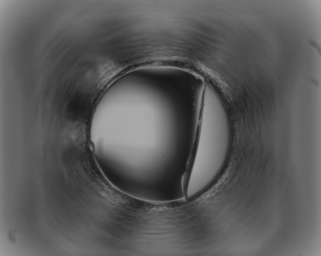 X0000091591169200708271236