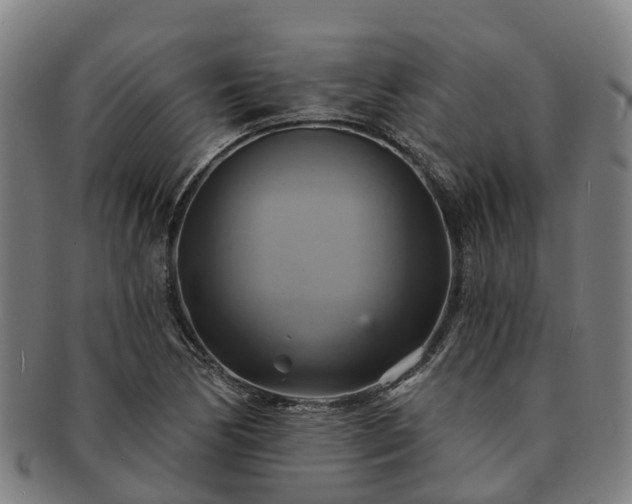 X0000091591170200708271236