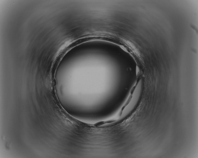 X0000091591172200708271236