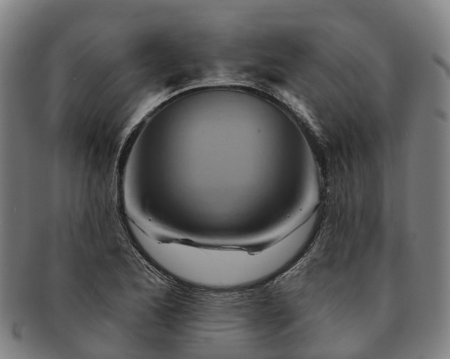 X0000091591173200708271236
