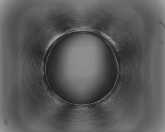 X0000091591174200708271236
