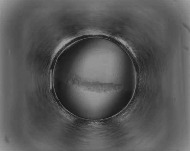 X0000091591175200708271236