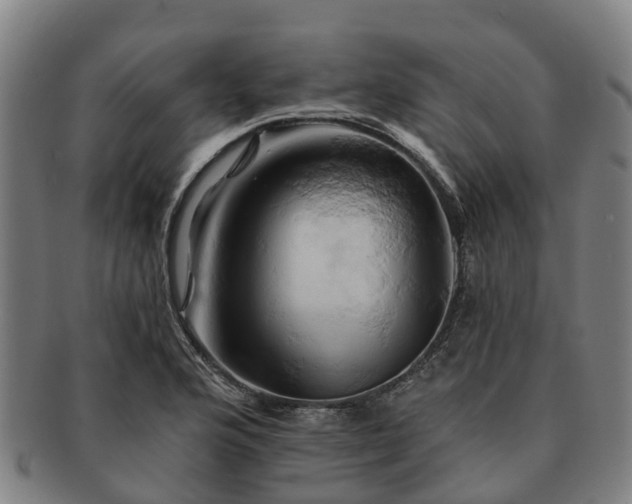 X0000091591176200708271236