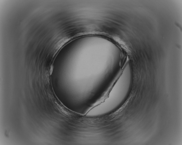 X0000091591177200708271236