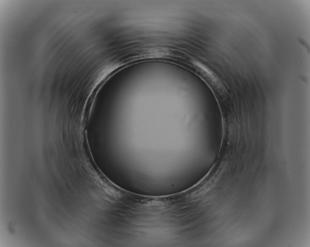 X0000091591178200708271236