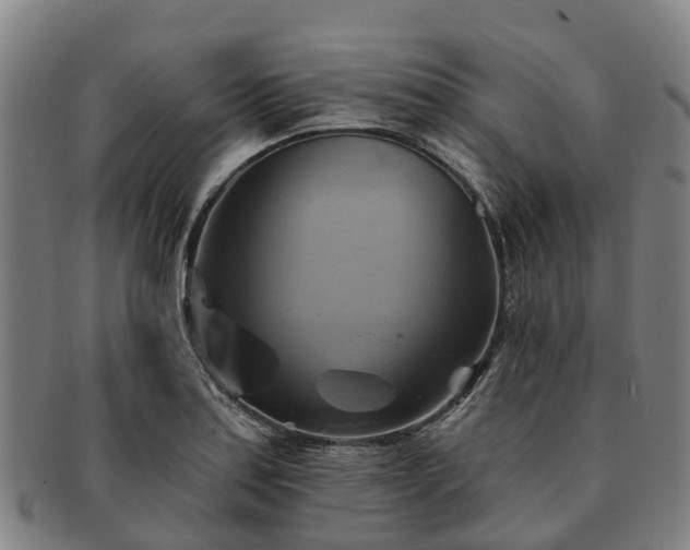 X0000091591179200708271236