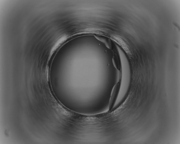 X0000091591180200708271236