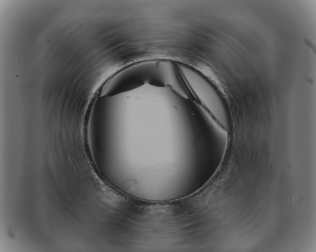 X0000091591181200708271236