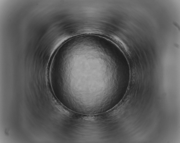 X0000091591182200708271236