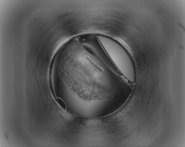 X0000091591183200708271236