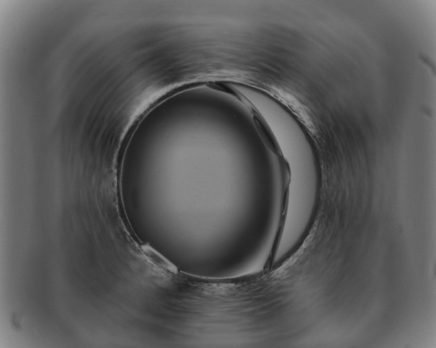 X0000091591184200708271236