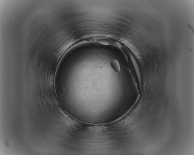X0000091591185200708271236